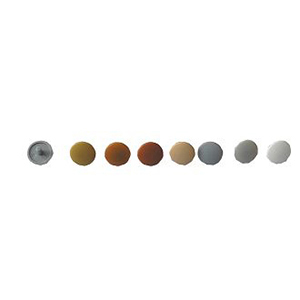 20 CACHE VIS PLASTIQUE MARRON GRIS