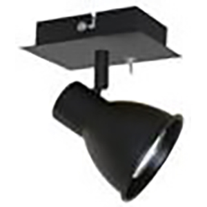 1 SPOT LISEUSE NOIR 2022 AVEC AMPOULE INTEGREE