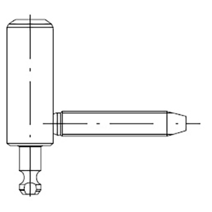 1 GOND ANTIDEGONDABLE MALE