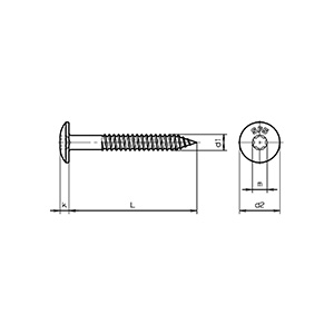 1 BTE 250 VIS FACADE INOX TW-S-D12-4.8X38-RAL7043 GRIS SIG B