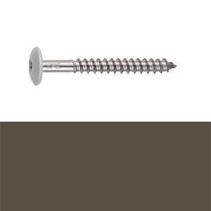 1 BTE 250 VIS FACADE INOX TW-S-D12-4.8X44-RAL 7013 GRIS BRUN