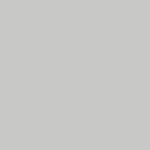 LAME DE BARDAGE PLAT PVC GRIS - LONGUEUR 3,8M (remplacé par X819119)